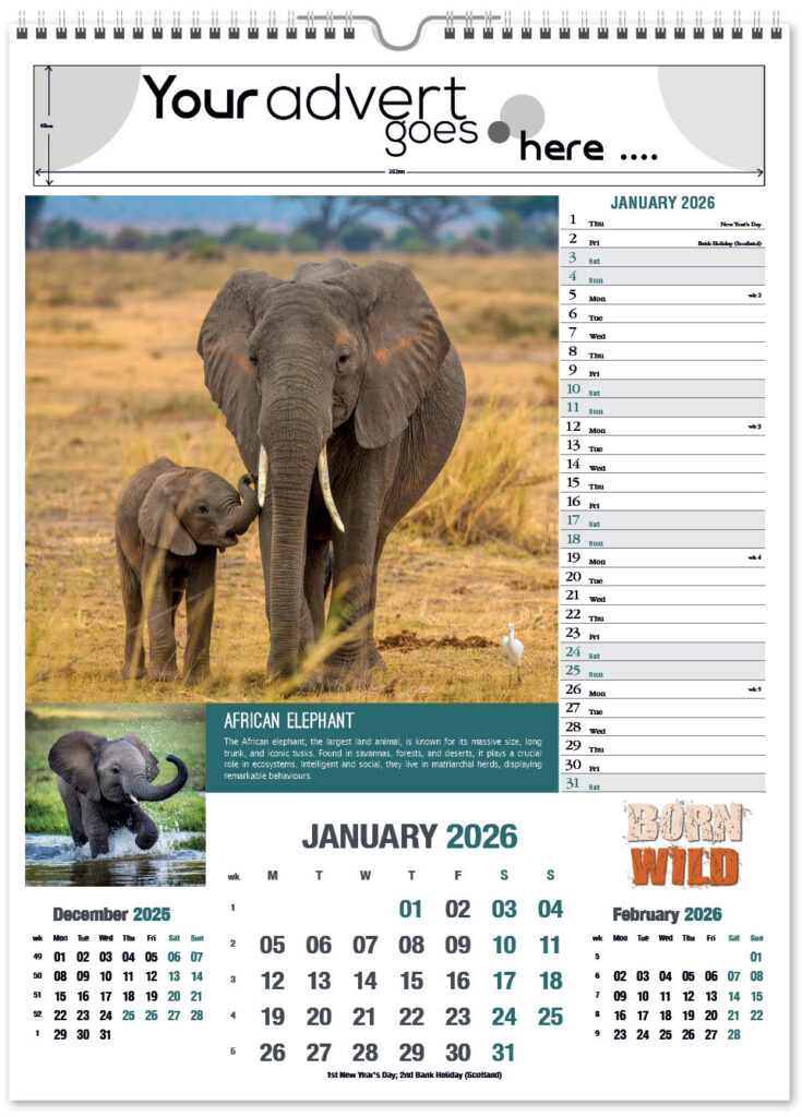 born-wild-portrait-2026-1