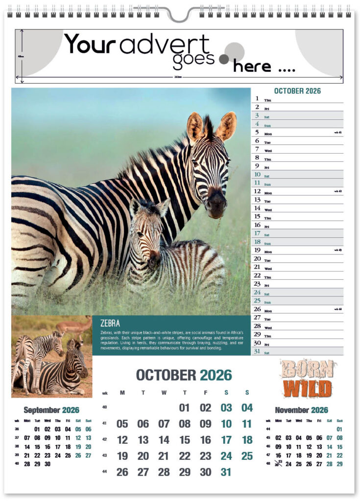 born-wild-portrait-2026-10