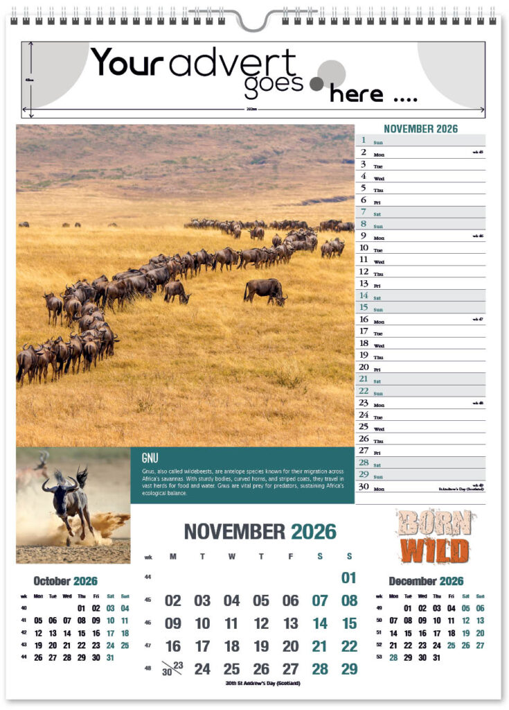 born-wild-portrait-2026-11