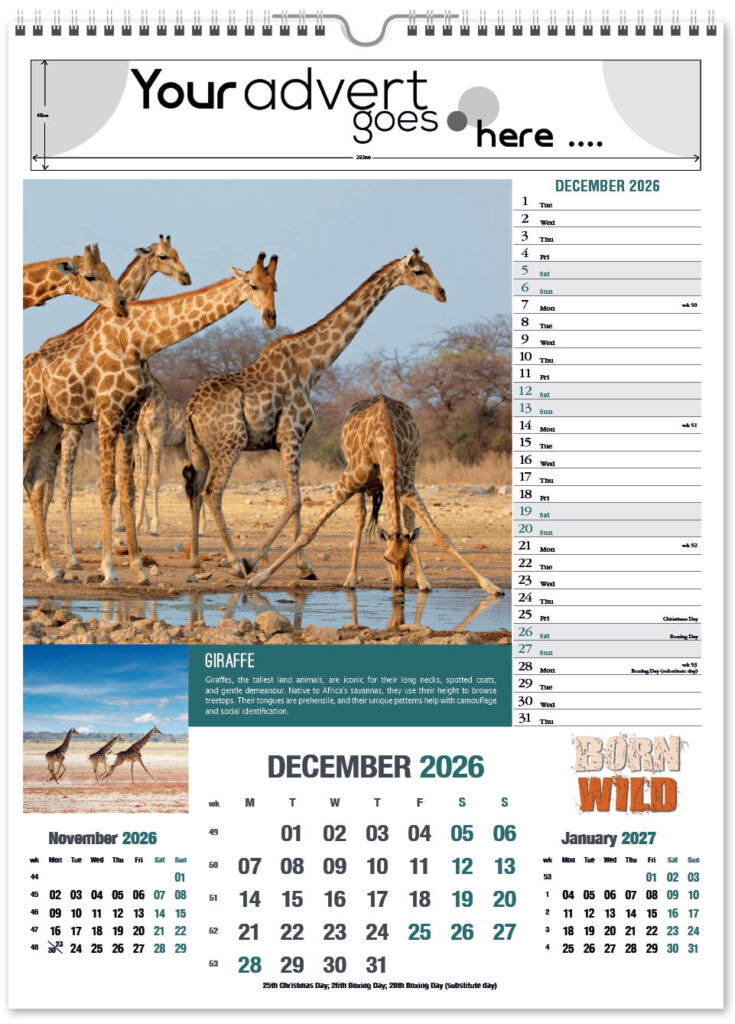 born-wild-portrait-2026-12
