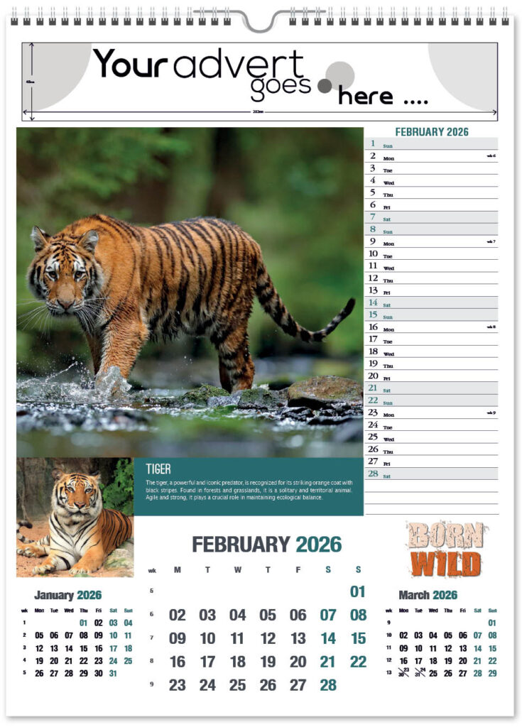 born-wild-portrait-2026-2