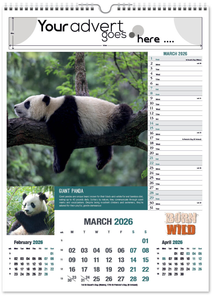 born-wild-portrait-2026-3