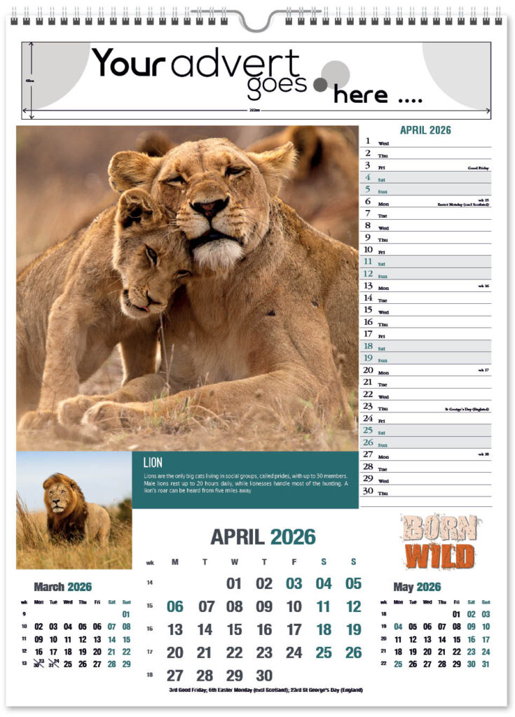 born-wild-portrait-2026-4