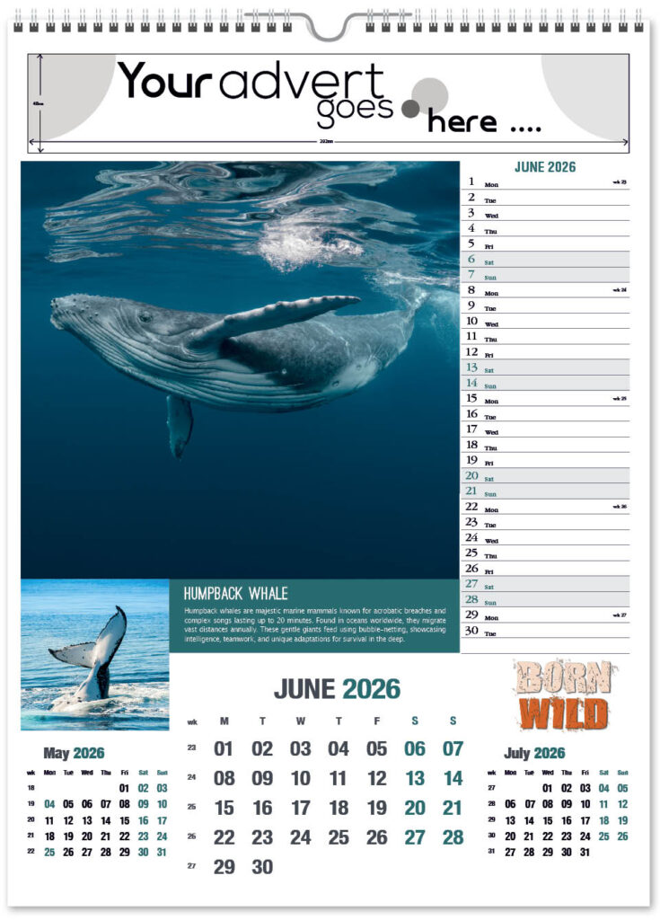 born-wild-portrait-2026-6