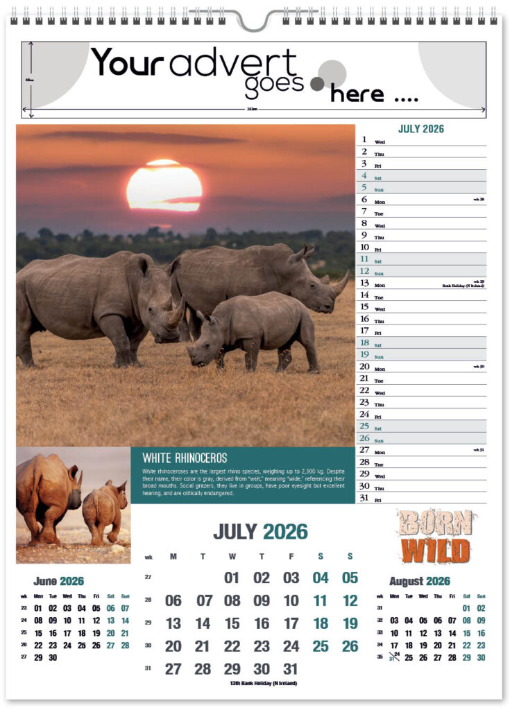 born-wild-portrait-2026-7
