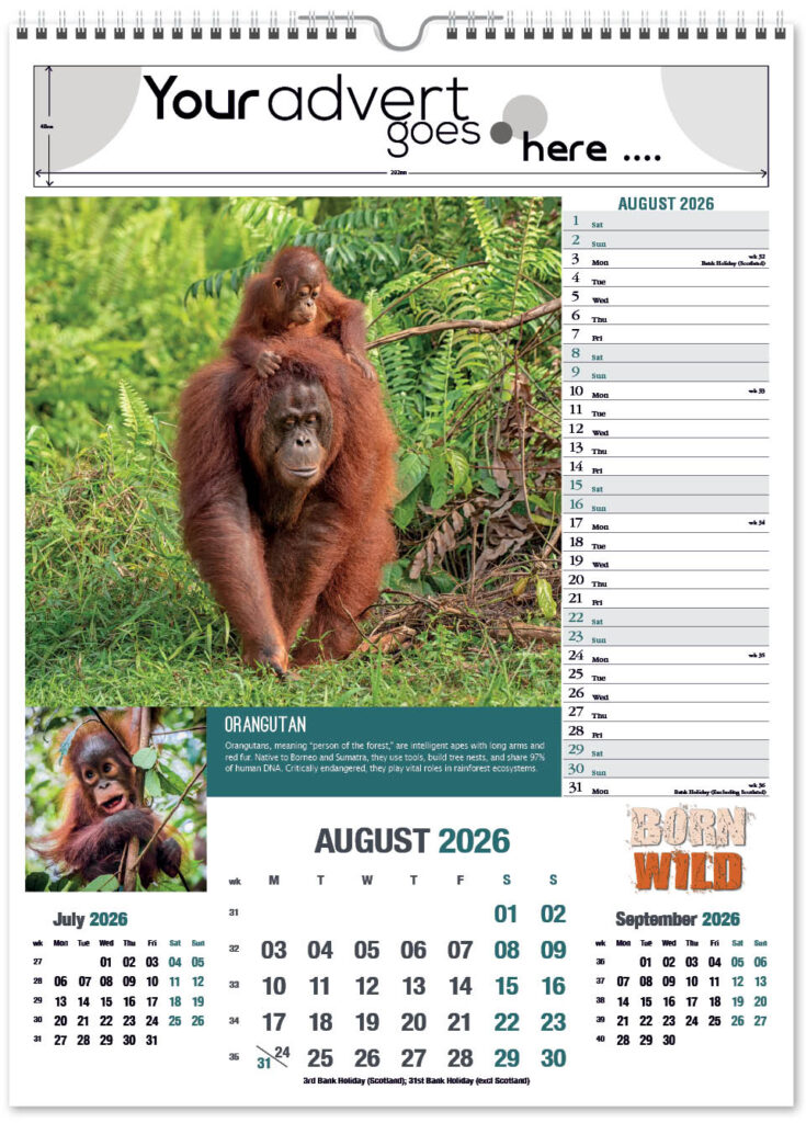 born-wild-portrait-2026-8