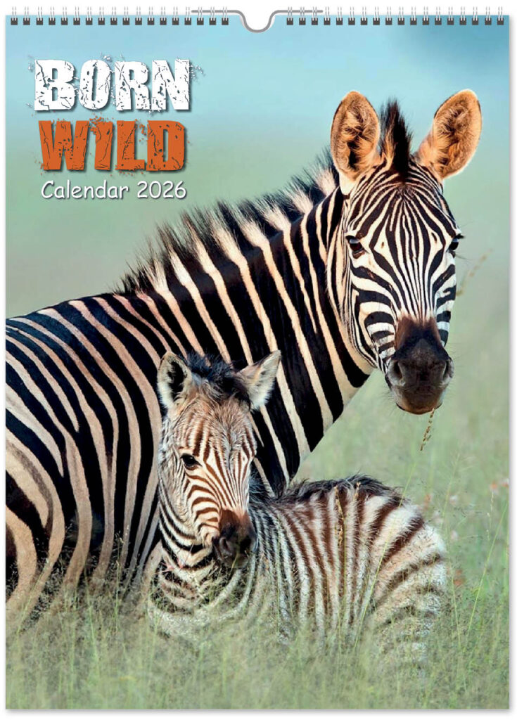 born-wild-portrait-2026-covers