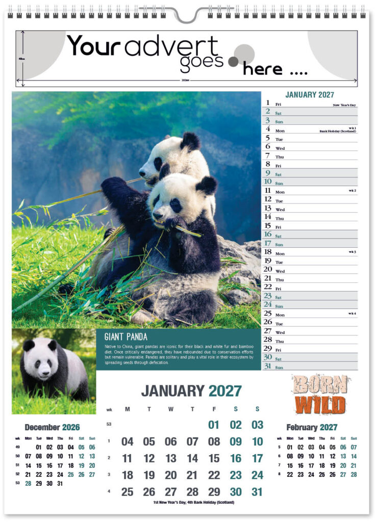 born-wild-portrait-2027-1