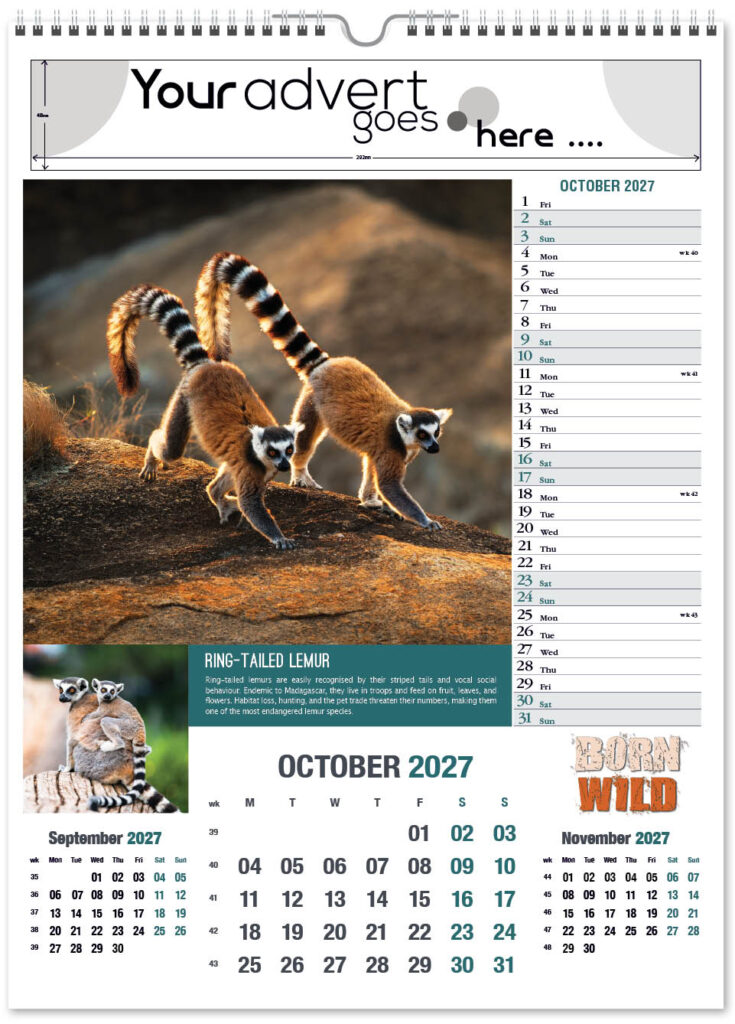 born-wild-portrait-2027-10