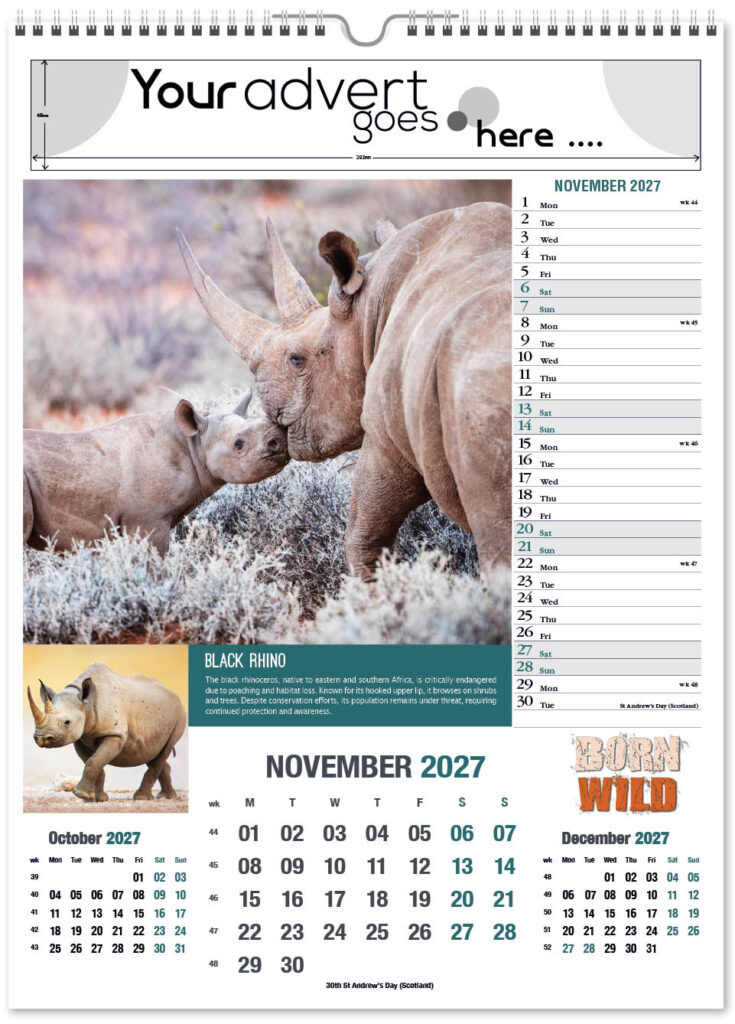 born-wild-portrait-2027-11