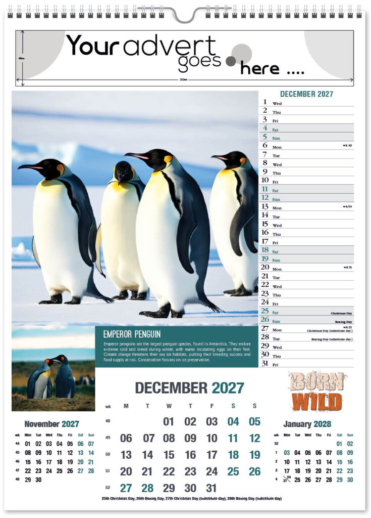 born-wild-portrait-2027-12