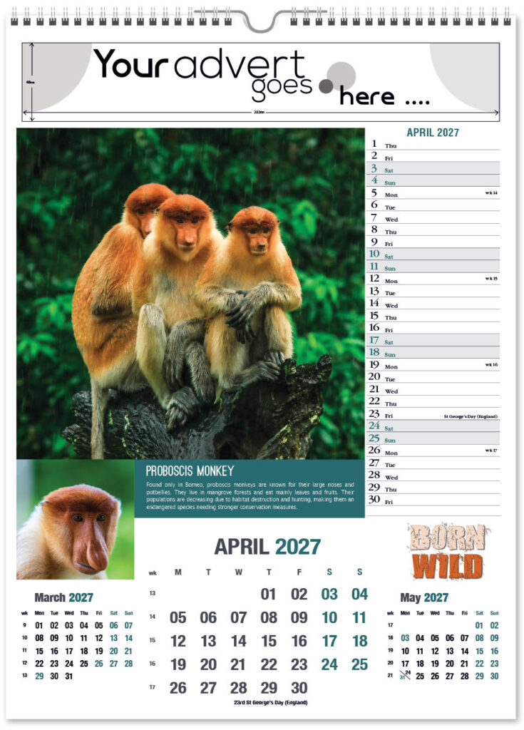 born-wild-portrait-2027-4