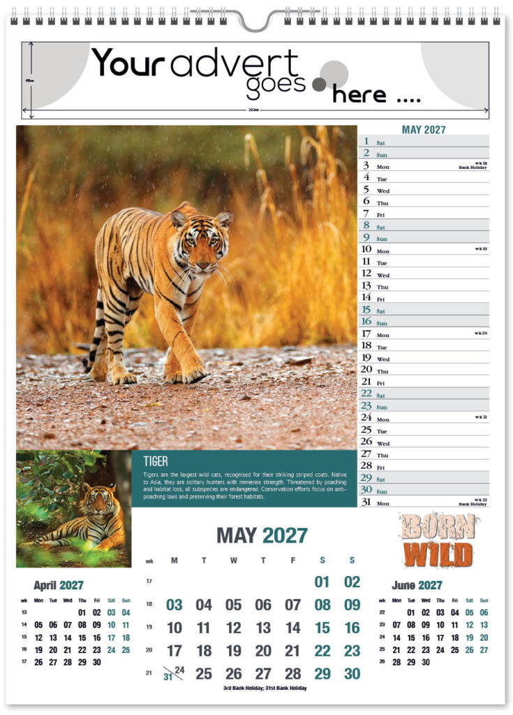 born-wild-portrait-2027-5