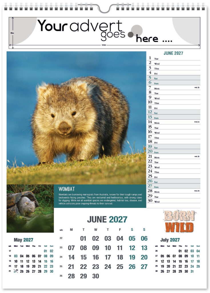 born-wild-portrait-2027-6