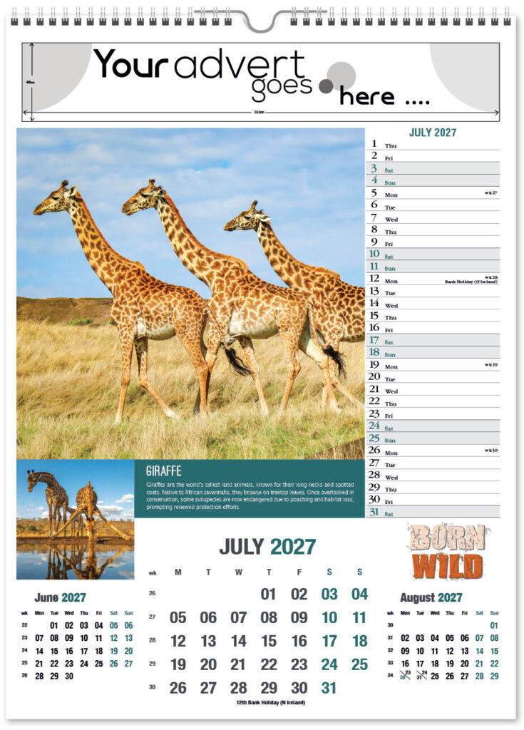 born-wild-portrait-2027-7