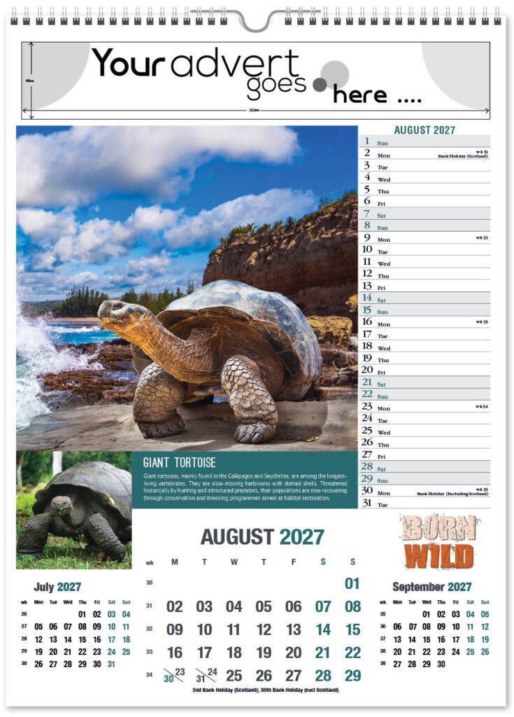 born-wild-portrait-2027-8