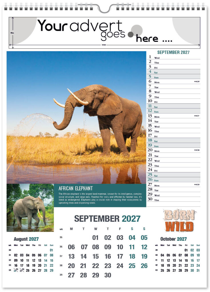 born-wild-portrait-2027-9