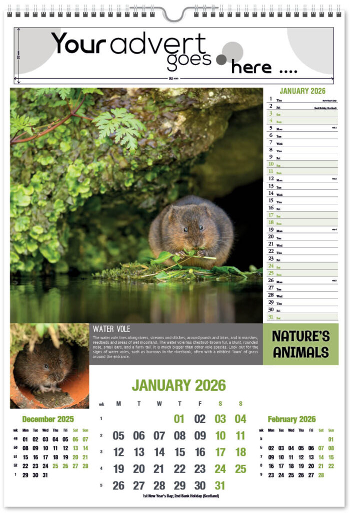 natures-animals-2026-portrait-1