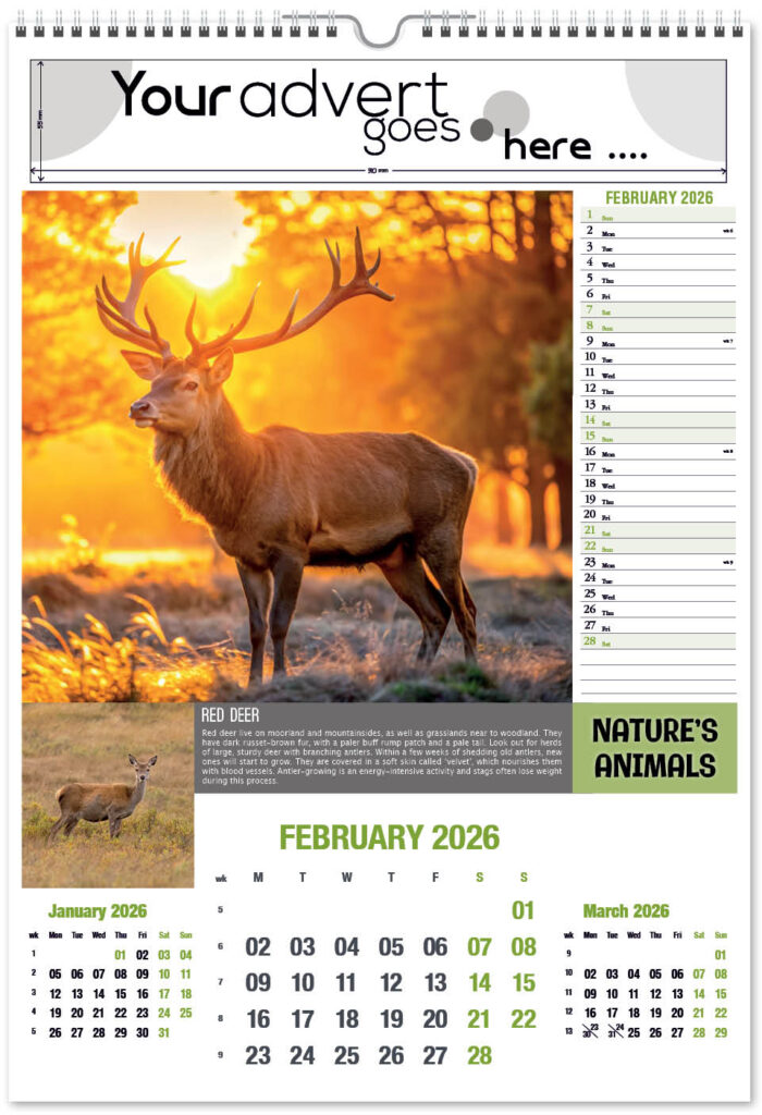 natures-animals-2026-portrait-2