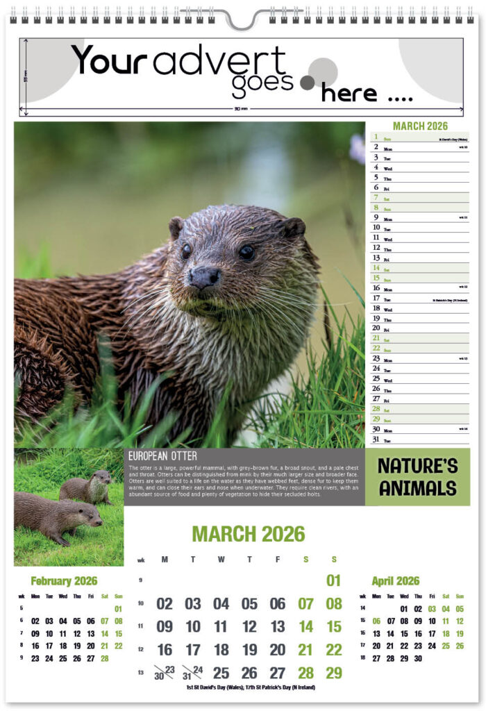 natures-animals-2026-portrait-3