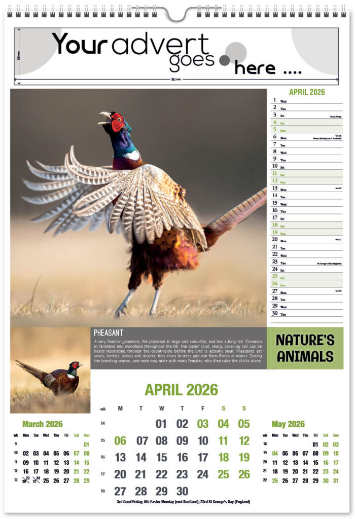 natures-animals-2026-portrait-4
