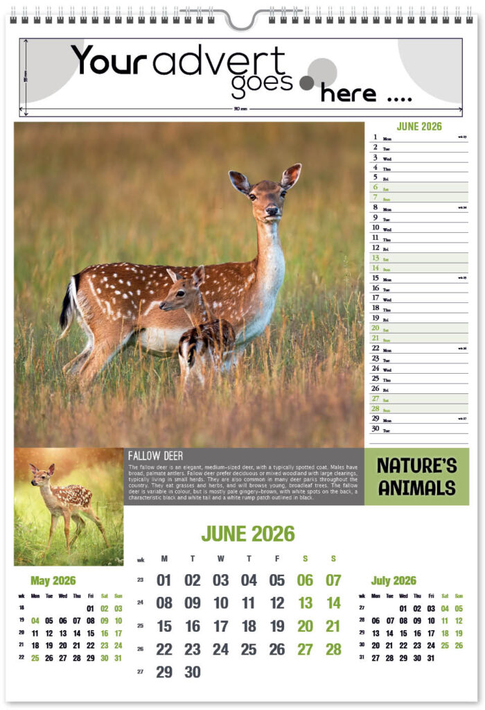 natures-animals-2026-portrait-6