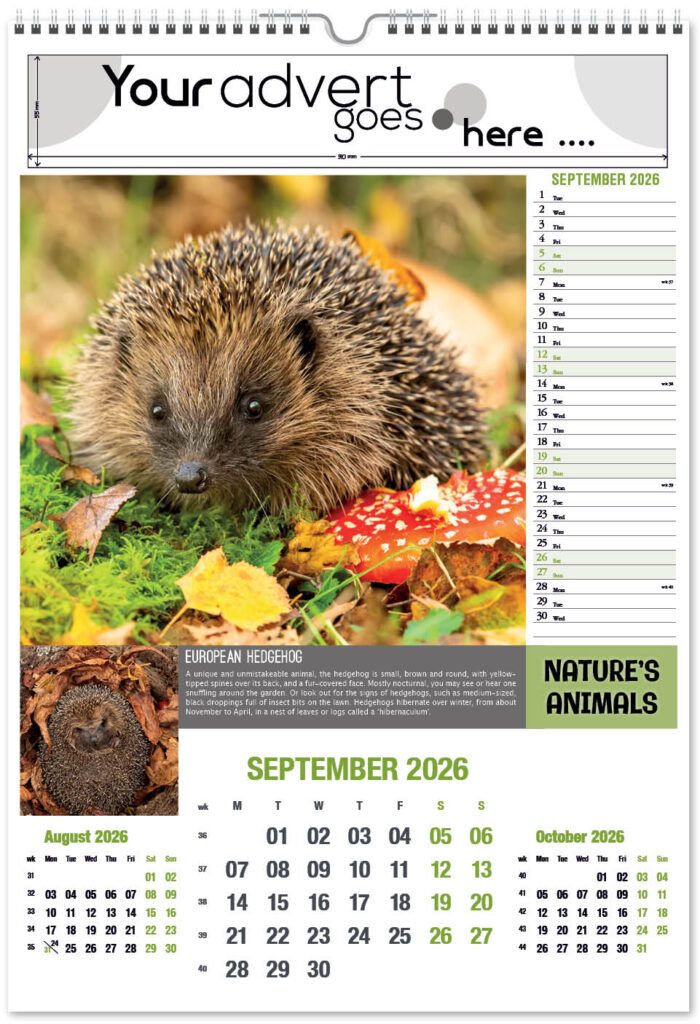 natures-animals-2026-portrait-9