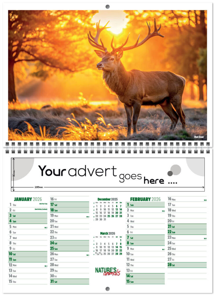 natures-animals-central-wiro-2026-a-1