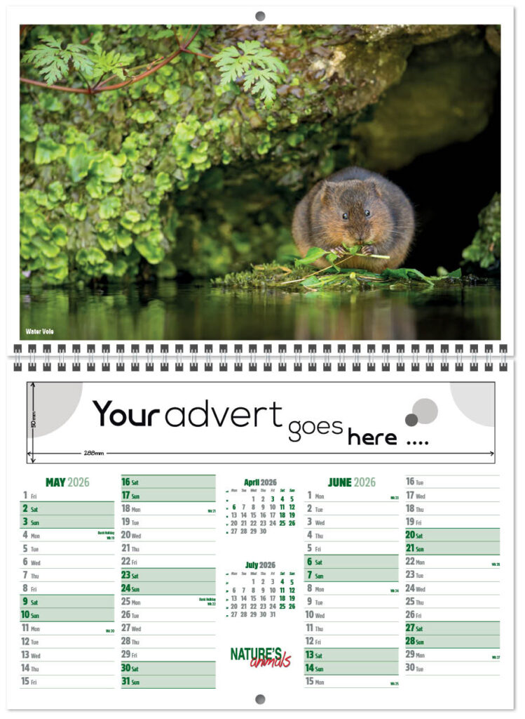 natures-animals-central-wiro-2026-a-3