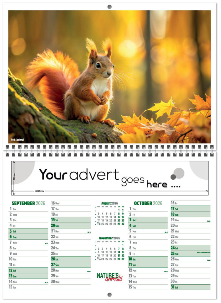 natures-animals-central-wiro-2026-a-5
