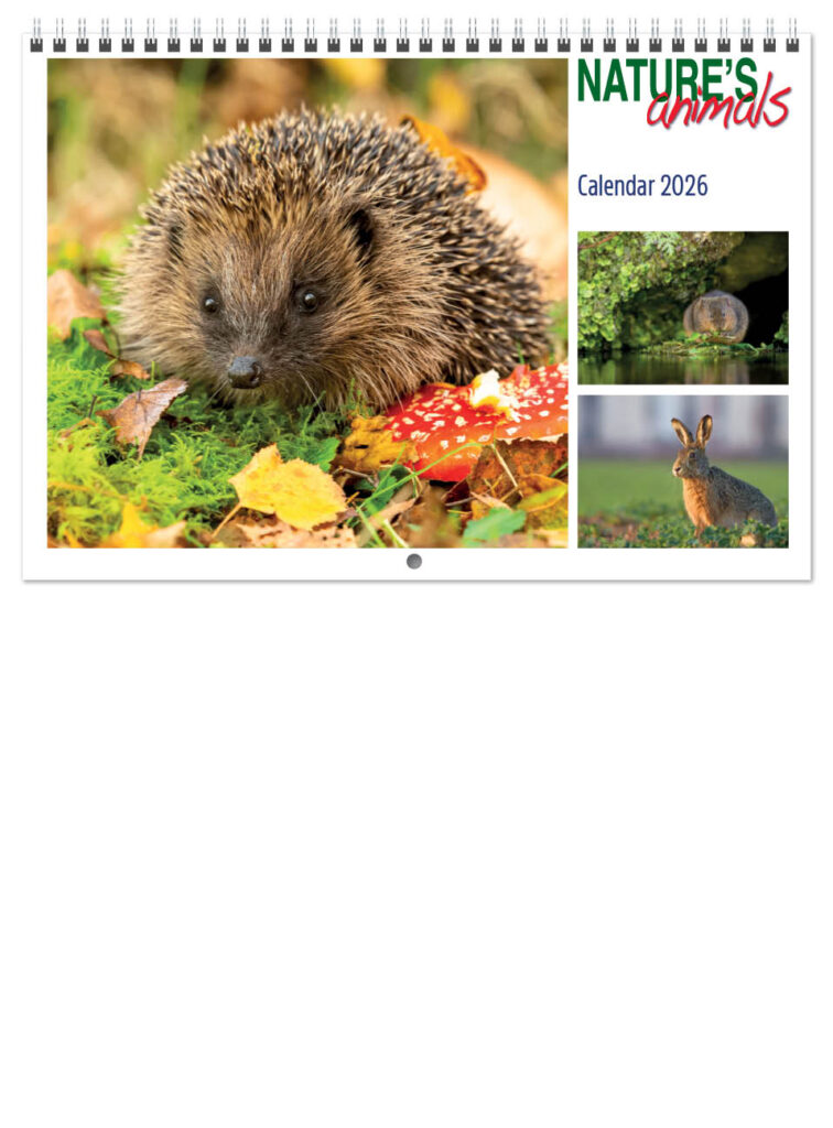 natures-animals-central-wiro-2026-a-cover