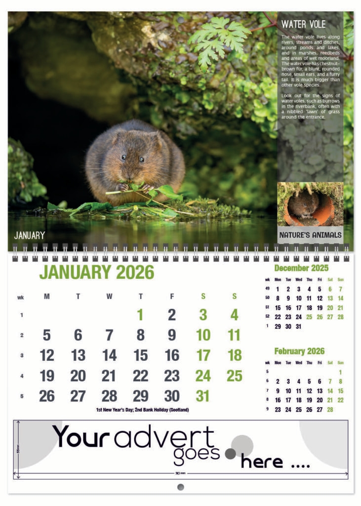 natures-animals-deluxe-central-wiro-2026-1