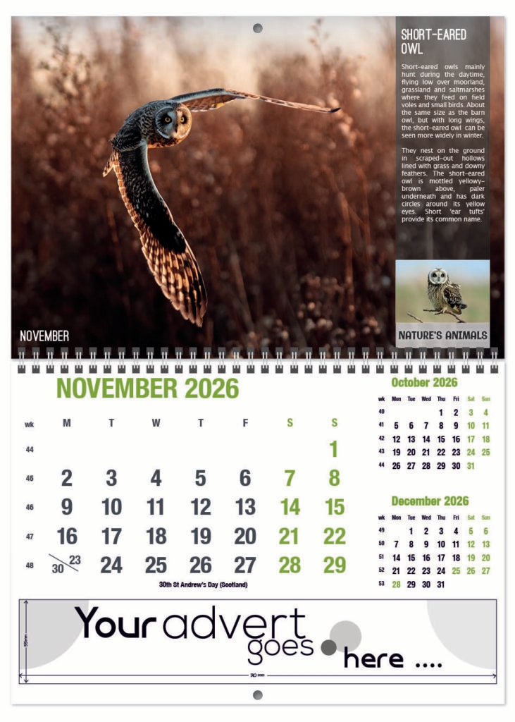 natures-animals-deluxe-central-wiro-2026-11