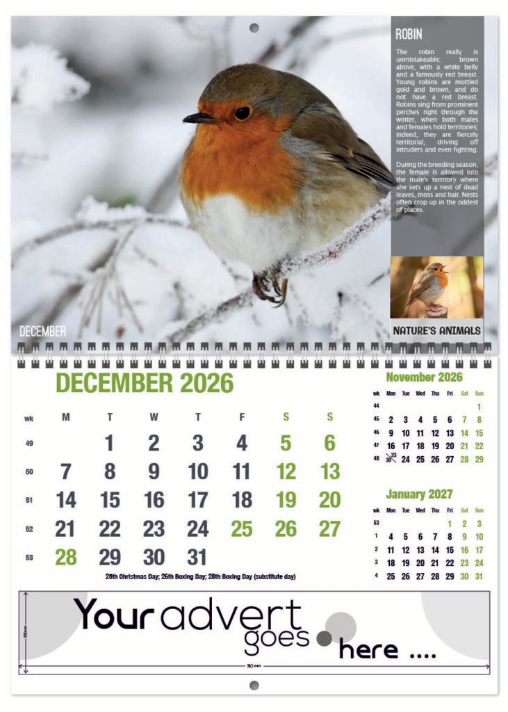 natures-animals-deluxe-central-wiro-2026-12