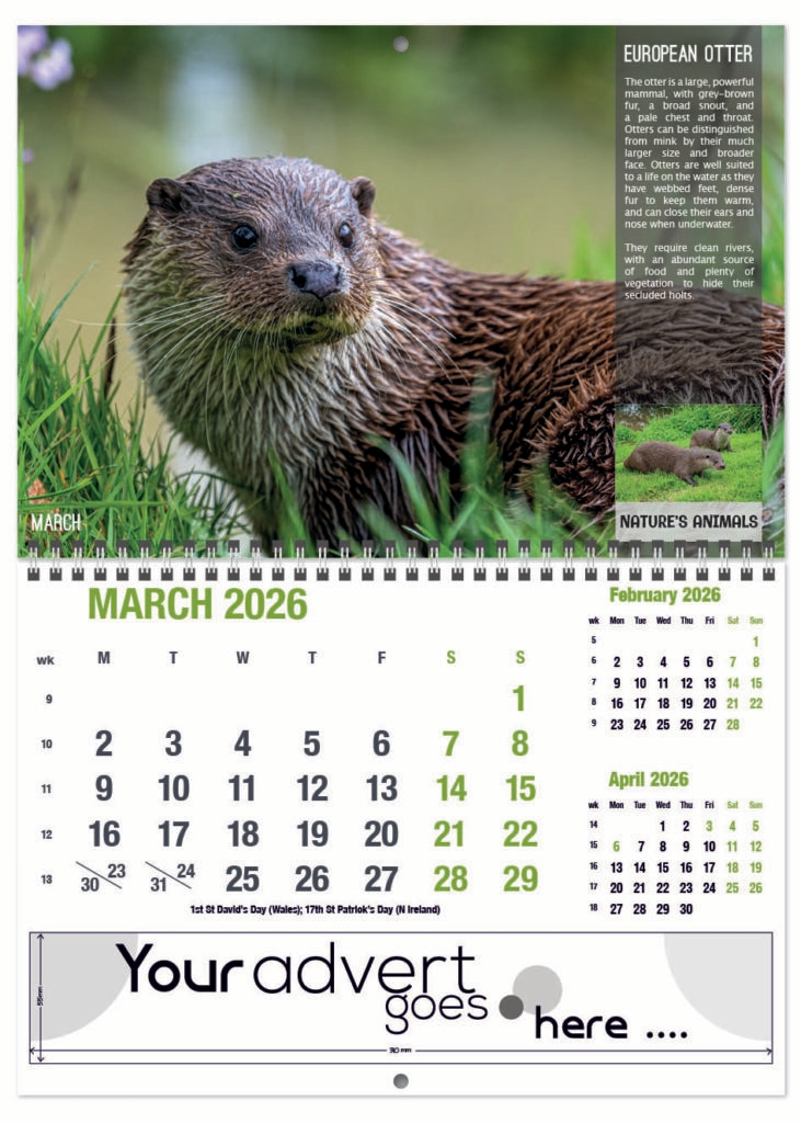 natures-animals-deluxe-central-wiro-2026-3