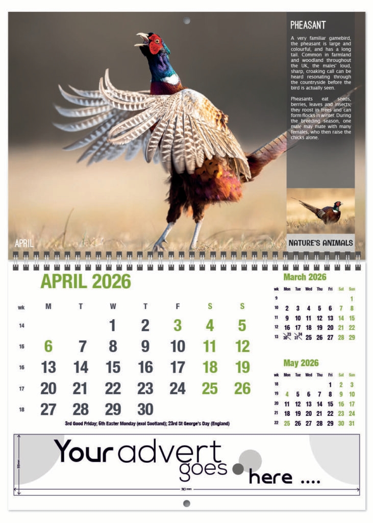 natures-animals-deluxe-central-wiro-2026-4