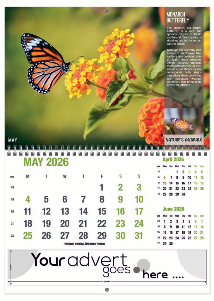 natures-animals-deluxe-central-wiro-2026-5