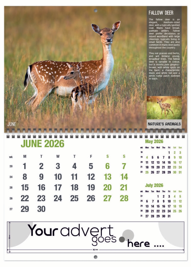 natures-animals-deluxe-central-wiro-2026-6