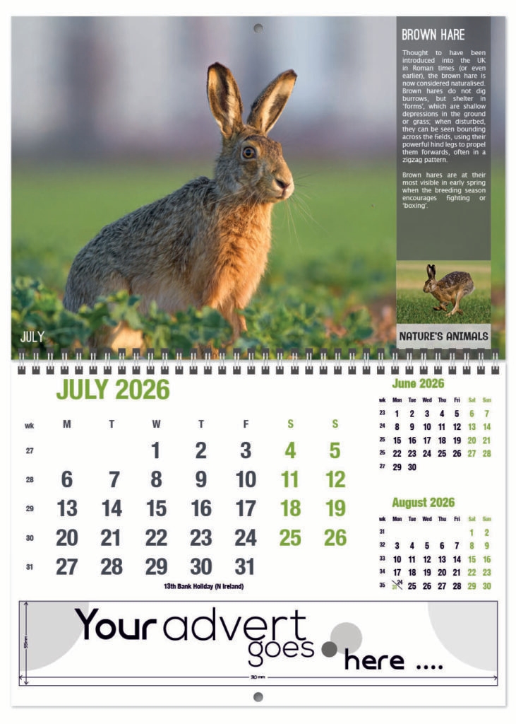 natures-animals-deluxe-central-wiro-2026-7