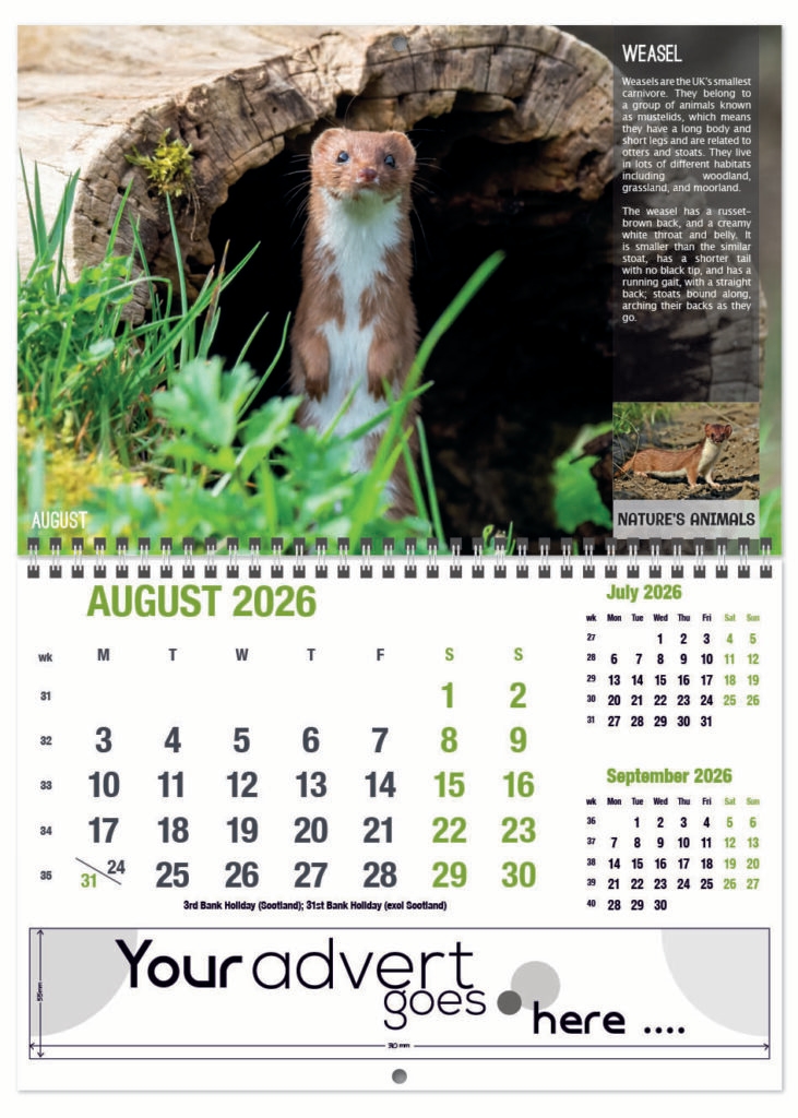 natures-animals-deluxe-central-wiro-2026-8