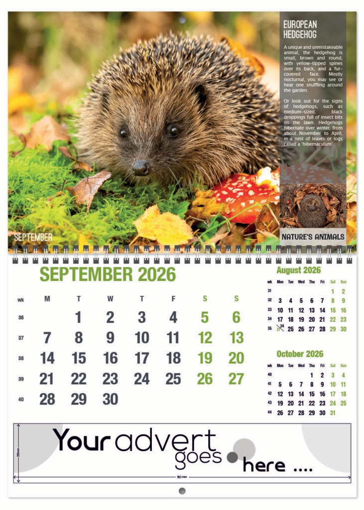 natures-animals-deluxe-central-wiro-2026-9