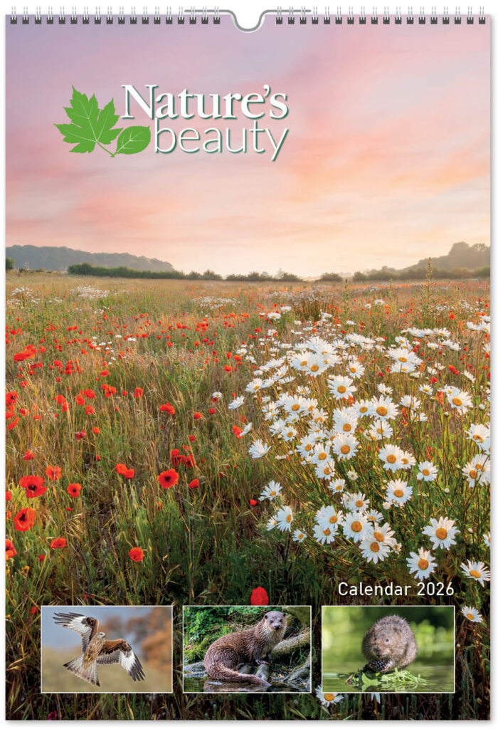 natures-beauty-2026-portrait-COVER