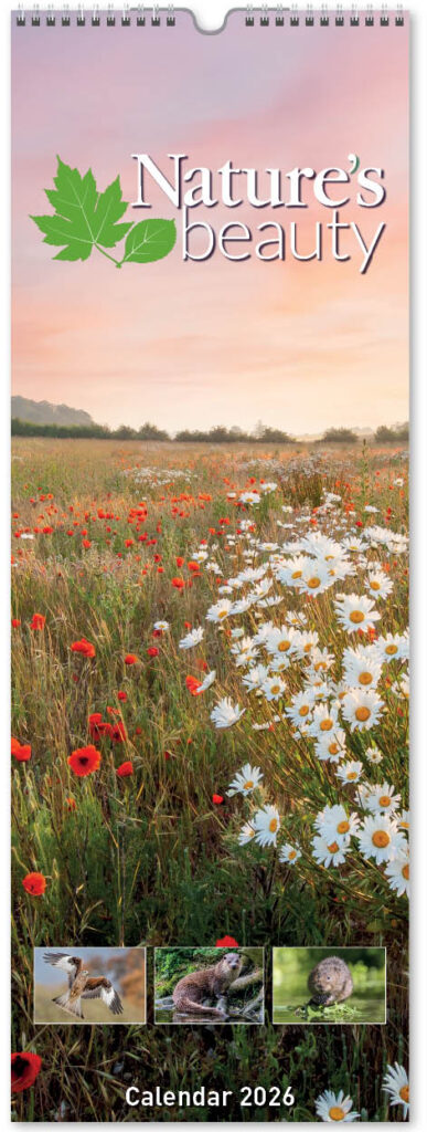 natures-beauty-slim-2026-cover