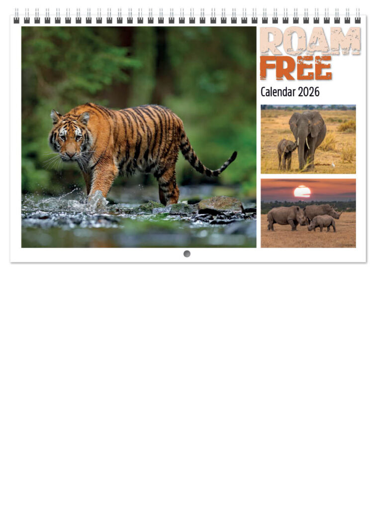 roam-free-central-wiro-2026-a-cover