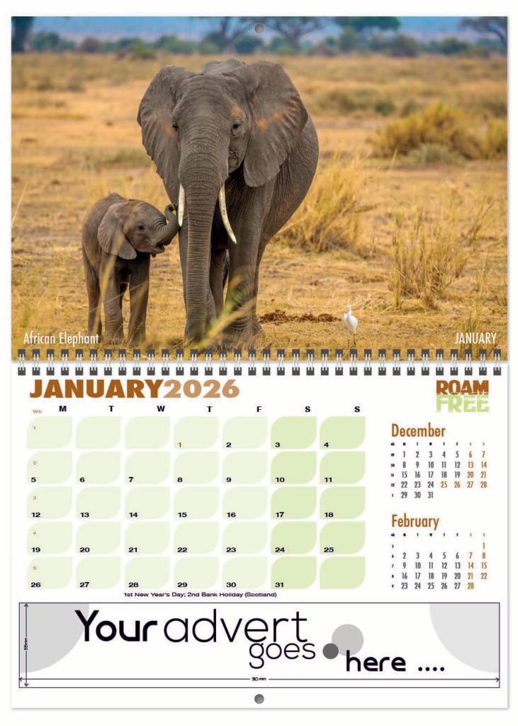 roam-free-deluxe-central-wiro-2026-1