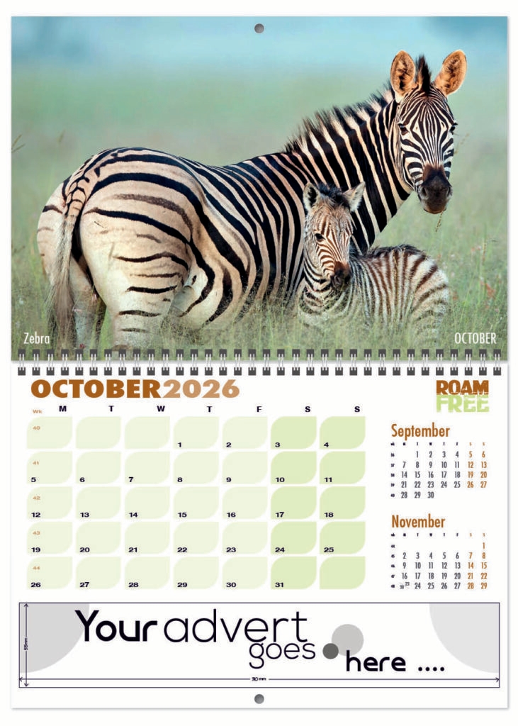 roam-free-deluxe-central-wiro-2026-10