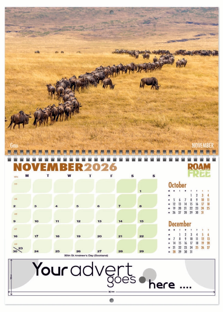 roam-free-deluxe-central-wiro-2026-11