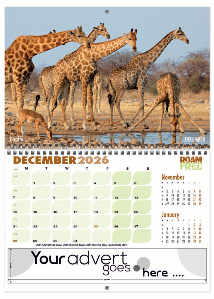 roam-free-deluxe-central-wiro-2026-12
