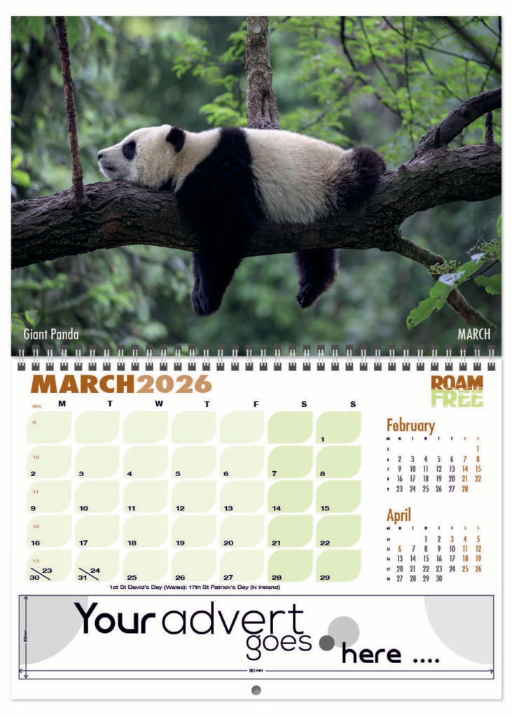 roam-free-deluxe-central-wiro-2026-3