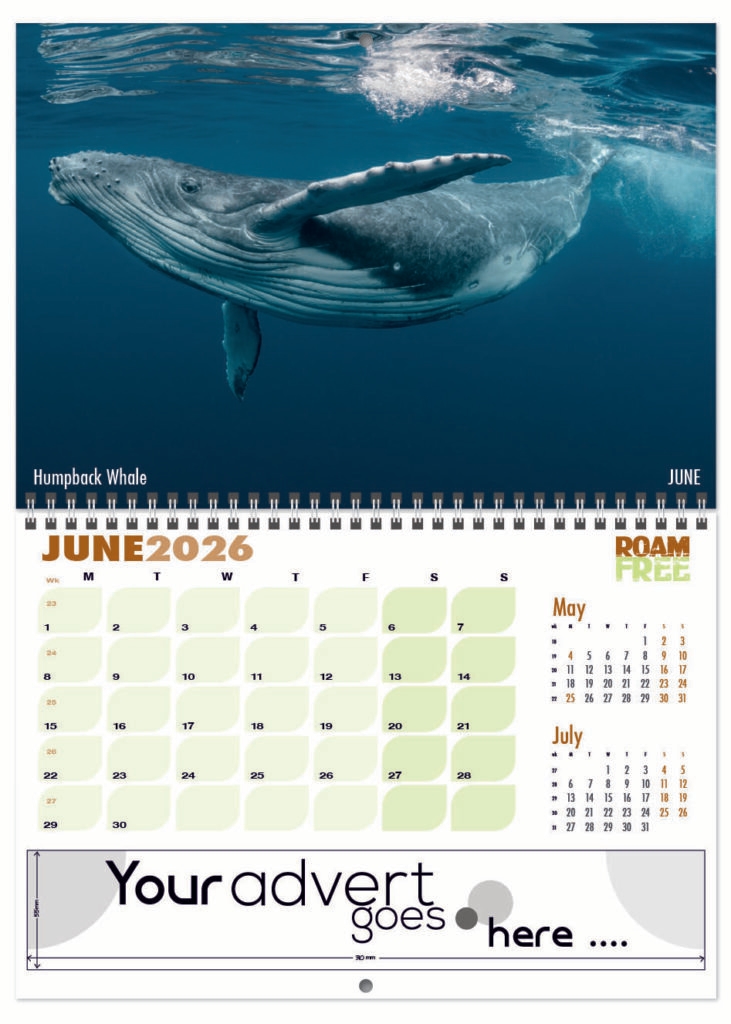 roam-free-deluxe-central-wiro-2026-6